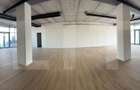 Spatiu comercial, 201 mp, Calea Torontalului - 5