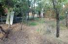 Naidas, Casa 7 Incaperi, 842mp Teren, Pret Negociabil - 23