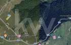 De vânzare teren în Păltiniș 40.000 EUR
