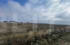 Teren intravilan de vanzare in Carcea, 27.236 mp, front stradal 80 ml