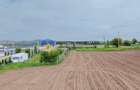 Teren- Com. Stefan cel Mare- jud. Neamt - 7