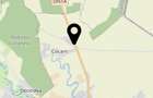 TEREN AGRICOL 4.1ha, DN1A, 15/mp