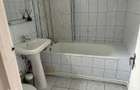 Apartament 3 camere Anastasie Panu - 1