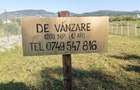 Teren de vanzare 12 ari, strada Valea Ghinzii, Bistrita - 4
