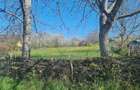 Gradina intravilan 16 arii - 3