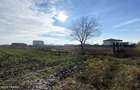 Afumati - Str. Iasomiei, 2409 MP, stradal, intravilan, deschidere 12 m
