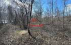 Teren intravilan in Campina--1565 mp--35.000e