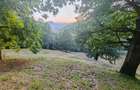 Teren de 7000 mp, în Grădiștea de Munte - 2