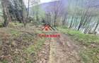 Teren intravilan in Valea Doftanei - Parajul Paltinu--1000 mp--120e - 2