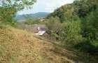 Teren vanzare Calimane?ti, Valcea - 1