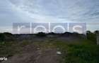 Vanzare Teren 16.000 Mp | 2 Loturi | Constructii Existente | Rosiori D - 4