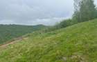 Teren de construit | 1015 mp | intravilan - 6