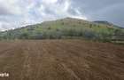 Teren de vanzare loca?ie deosebita in Greci, Mun?ii Macin - 6