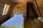 Cabana A-Frame , zona Bran - 9