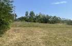 Teren de vanzare Budacu de Jos 3 parcele, utilitati la limita, zona Raal - 1