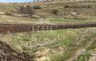 Teren in suprafata de 6300 mp extravilan in Garbau - 6