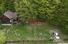 Casă de vacanță la pădure | Teren 891 mp | Valea Ighielului - 8