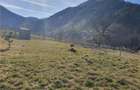 Vindem urgent 1035mp teren intravilan in Rau Sadului ,  SIBIU - 19