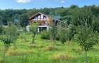 Vila din busteni DE VANZARE Lisnau, 30km de Brasov