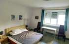 Apartament cu 1 camera de inchiriat - b-dul Magheru - 3