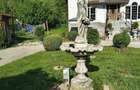 Casă cu Teren 2800 Mp în Toplița - 4