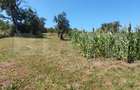 Casa 4 camere, 240 mp, teren 4000 mp, zona Pinticu - 14