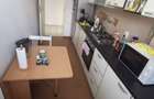Apartament 2 camere de vanzare PROPRIETAR - 13