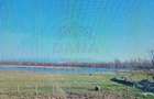 TEREN CU PLANTA?IE DE TRANDAFIRI ,,ROSA DAMASCENA,\ \CARANSEBE?\JUD.CS - 3