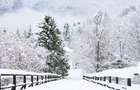 Vila la munte Brasov-Zarnesti, teren 2 hectare, Piatra Craiului, Plaiul Foii, Gym, sauna, jacuzzi - 6