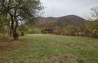 Teren intravilan 2500mp Criscior