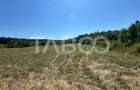 Teren extravilan 2700 mp oportunitate investitie Calea Popla
