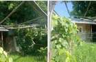 Casa si teren cota parte 3/32 sat Casaria, ID: R2724121 - 9