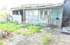 Casa 3 camere 92 mp, 338 mp de teren