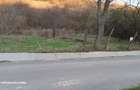 Teren de 5000 mp, în Ghercești - 10