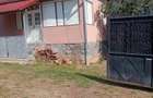 Casa cu gradina / Finciu - 3