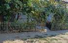 Carcea casa plus 4000mp teren intravilan,pret 98000 euro - 3