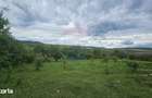 Teren 5,350mp Dobreni / Strada Manastirea Horaita - 16