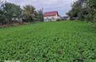 Vand teren intravilan 3500mp,sat Costana, com Todiresti - 2