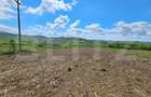 Teren Agricol, 5.800 mp, in Blajenii de Jos - 7