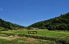 Oportunitate investitie resort/complex /pensiune ,Plaiul Foii Zarnesti