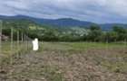 Vand 27 ari intravilan in Aghires - 2