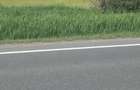 Teren de vanzare in huedin - 5