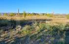 Teren 5000m2 Targoviste - ZONA INDUSTRIALA C.O.S. TGV - 5
