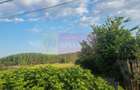 VANZARE TEREN 2150 MP IN SAT TEISORI (GR) - 2