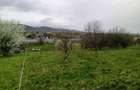 Teren intravilan Coldau la drumul european - 3