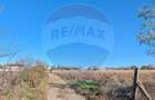 Teren 1,200mp Perieni / Drumul poiana sat - 1