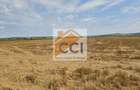 Teren intravilan 50.000 mp, Bacau, ?oseaua Hol - 9