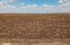 Cota de 1/2 teren extravilan Loc. Racovita, jud. Timis R3308145 - 2