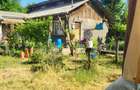 Casă cu 3 camere cu Teren 2000 Mp în Albina - 4