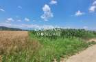 Vânzare teren intravilan, 3504 mp, sat Ceauru, comuna Bălești - 6
